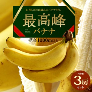 最高峰バナナ (約700g×3袋) フィリピン産 バナナ ばなな banana 高糖度 甘い もっちり ミンダナオ島 標高1000m以上 高地栽培 高級 食品 