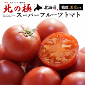 北の極 スーパーフルーツトマト (約800g) 北海道 下川町産 フルーツトマト トマト とまと tomato フルーツ 高糖度 甘い 食品 野菜 きのこ