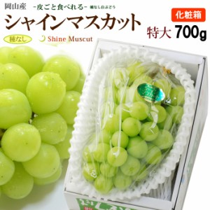 シャインマスカット (700g/1房) 岡山産 ハウス栽培 秀品 しゃいんますかっと shine muscat ぶどう 葡萄 大房 大粒 食品 フルーツ 果物 ブ