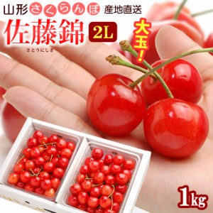 山形 さくらんぼ 佐藤錦 (2L玉/1kg) 山形産 露地栽培 秀品 サクランボ 桜桃 チェリー cherry バラ詰め 6月 食品 フルーツ 果物 さくらん