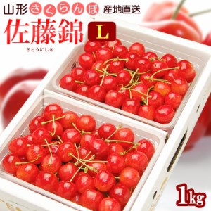 山形 さくらんぼ 佐藤錦 (L玉/1kg) 山形産 露地栽培 秀品 サクランボ 桜桃 チェリー cherry バラ詰め 6月 食品 フルーツ 果物 さくらんぼ