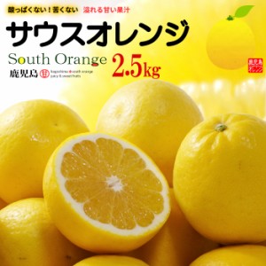 サウスオレンジ 2L-3L (約2.5kg) 鹿児島産 秀品 和製グレープフルーツ オレンジ 河内晩柑 文旦 宇和ゴールド 美生柑 ジューシー 愛南ゴー