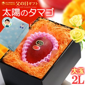 父の日 ギフト 太陽のタマゴ (2L×1玉/約350g) 宮崎産 秀品 父の日ギフト 太陽のたまご 宮崎 宮崎マンゴー 完熟マンゴー 国産マンゴー ア