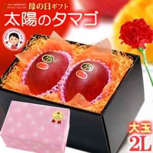 遅れてごめんね！ 母の日 ギフト 太陽のタマゴ (2L×2玉/約700g) 宮崎産 秀品 太陽のたまご 太陽の卵 たいようのたまご 2024 母の日ギフ