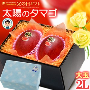 父の日 ギフト 太陽のタマゴ (2L×2玉/約700g) 宮崎産 秀品 父の日ギフト 太陽のたまご 宮崎 宮崎マンゴー 完熟マンゴー 国産マンゴー ア