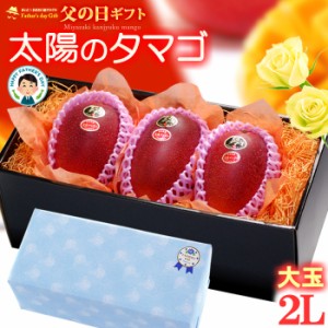 父の日 ギフト 太陽のタマゴ (2L×3玉/約1kg) 宮崎産 秀品 父の日ギフト 太陽のたまご 宮崎 宮崎マンゴー 完熟マンゴー 国産マンゴー ア