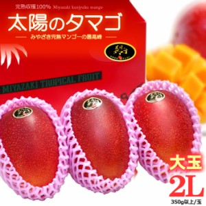 太陽のタマゴ (2L×3玉/約1kg) 宮崎産 秀品 太陽のたまご たいようのたまご 宮崎完熟マンゴー 国産マンゴー アップルマンゴー アーウィン