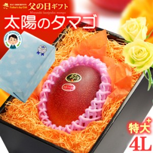 父の日 ギフト 太陽のタマゴ (4L×1玉/約510g) 宮崎産 秀品 父の日ギフト 太陽のたまご 宮崎 宮崎マンゴー 完熟マンゴー 国産マンゴー ア