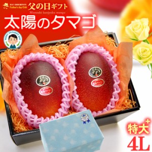 父の日 ギフト 太陽のタマゴ (4L×2玉/約1020g) 宮崎産 秀品 父の日ギフト 太陽のたまご 宮崎 宮崎マンゴー 完熟マンゴー 国産マンゴー 