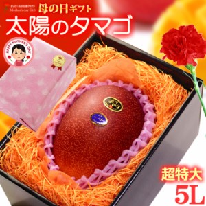 遅れてごめんね！ 母の日 ギフト 太陽のタマゴ (5L×1玉/約650g以上) 宮崎産 秀品 太陽のたまご 太陽の卵 たいようのたまご 2024 母の日