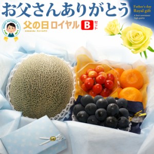 父の日 ロイヤル 【Bセット】 父の日ギフト専用 詰合せ 詰め合わせセット フルーツギフト 肥後グリーン メロン さくらんぼ 佐藤錦 ハウス