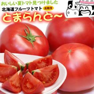 とまらんど〜 (約900g) 北海道産 フルーツトマト とまと トマト tomato JAながぬま 夏 糖度8度以上 高糖度 甘い 食品 野菜 きのこ トマト