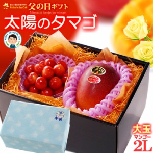 父の日 ギフト 太陽のタマゴ (2L×1玉/約350g以上) と 山形さくらんぼ 佐藤錦 (M玉×約100g) セット 秀品 サクランボ マンゴー 父の日ギ