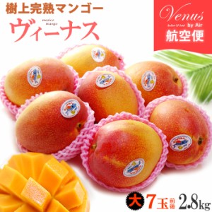 ヴィーナスマンゴー (7玉前後/約2.8kg) メキシコ産 メキシコマンゴー マンゴー ヘイデン ケント mango 輸入 高糖度 甘い 高級 食品 フル