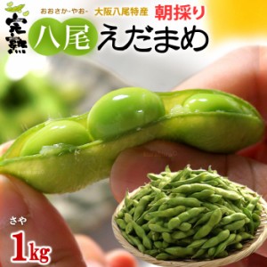 八尾の枝豆 さや (1kg) 大阪産 完熟えだまめ 枝豆 えだまめ エダマメ おつまみ ビール 食品 野菜 きのこ 豆類 枝豆 えだまめ 枝豆 やお 