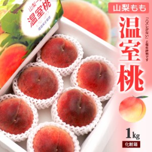 温室桃 (4-6玉/約1kg) 山梨産 秀品 ハウス栽培 桃 もも ハウス桃 peach モモ 白桃 ハウス ギフト 贈答 食品 フルーツ 果物 桃 ギフト 贈