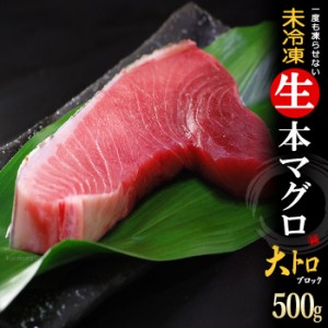 生本マグロ 大トロ ブロック (約500g) 国産 (主に 鹿児島産 長崎産 高知産) 蓄養 生まぐろ 生マグロ 生鮪 大トロ 大とろ 生本まぐろ 本ま