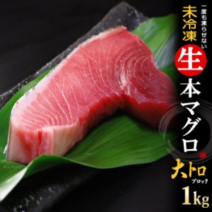 生本マグロ 大トロ ブロック (約1kg) 国産 (主に 鹿児島産 長崎産 高知産) 蓄養 生まぐろ 生マグロ 生鮪 大トロ 大とろ 生本まぐろ 本ま