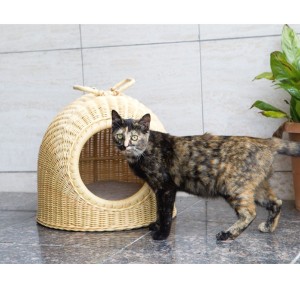 【ポイント7% 300円クーポン進呈 送料無料】ラタンペットハウス 小 34cm× 34cm×36cm 猫用品 犬用品 小屋 ペット 移動用 室内 ベッド 犬