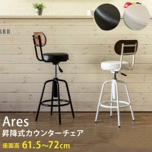 【ポイント7% 300円クーポン進呈 送料無料】Ares 昇降式 カウンターチェア チェアー バーチェア 背もたれ付 バーチェア 椅 木製 昇降 イ