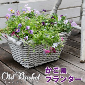  マグネシウムプランター Old Basket(オールドバスケット) BSPL-400WHT 鉢 鉢カバー プランター レンガ花壇 おしゃれ 「ポイント2% 300円