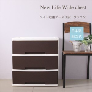 【ポイント7% 300円クーポン進呈 送料無料】NewLife ワイド収納ケース3段 収納家具 ケース・ボックス・小物 衣装ケース 6273626 たっぷり