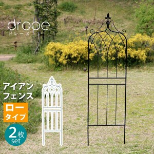 【ポイント7% 300円クーポン進呈 送料無料】アイアンフェンス148　ロータイプ　drape（ドレープ）　2枚組 エクステリア 庭まわり フェン