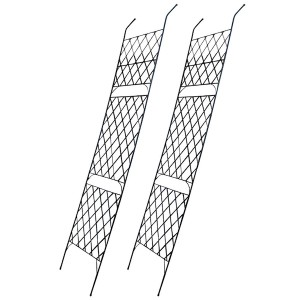 アイアン製グリーンカーテン アーガイル 2枚組 ガーデニング 園芸用資材 IFGC011-2P-BLK フェンス アイアン グリーンカーテン 庭 ベラン