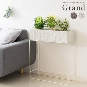 ラタンプランタースタンド Grand（グラン）幅60cm ガーデニング 鉢・プランター PS-600 鉢カバー 室内 観葉植物 ラタン「ポイント2% 300