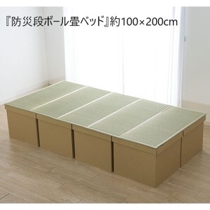 【ポイント7% 300円クーポン進呈 送料無料】シングル 『防災段ボール畳ベッド』約100×200cm 5連 ベッド 畳ベッド 8633809 備え 安心 防