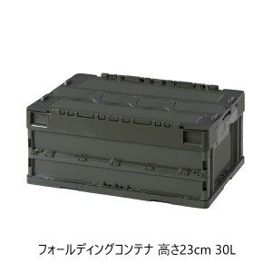 【ポイント7% 300円クーポン進呈 送料無料】フォールディングコンテナ 高さ23cm 30L アウトドア アウトドア用品 CF-S31NR アウトドア キ