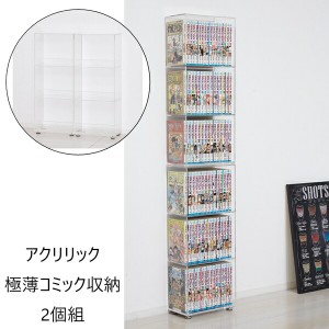 【ポイント7% 300円クーポン進呈 送料無料】アクリリック 極薄コミック収納 2個組 収納家具 本・CD・DVD収納 マガジンラック 23369 完成