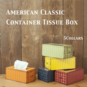 American Classic コンテナ ティッシュボックス 同色2個セット 収納家具 ケース・ボックス・小物 ティッシュケース GB21653GAK アメリカ 