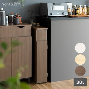 スリムダストボックス Santia（サンティア）30L 収納家具 キッチン収納 ダストボックス DB-F170  ゴミ箱 蓋つき おしゃれ スタイリッシュ