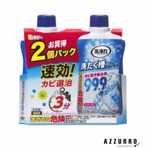 エステー　洗浄力 洗たく槽クリーナー 550g ×2コパック 【ドラッグストア】【ゆうパック対応】