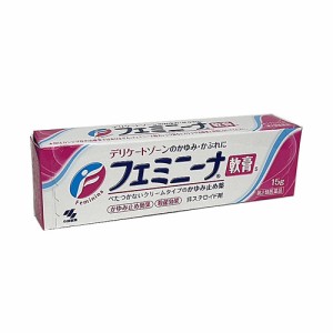 【メール便発送】【第2類医薬品】小林製薬　フェミニーナ軟膏　15ｇ