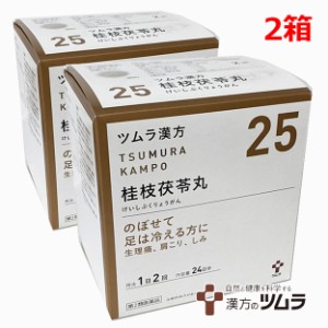 【2個セット】【25】【第2類医薬品】ツムラ漢方桂枝茯苓丸料エキス顆粒A 48包×2個「のぼせて足は冷える方に」ケイシブクリョウガン