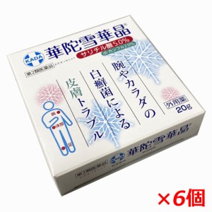 【6個セット】【メール便発送】【第2類医薬品】イスクラ華陀雪華晶 20ｇ×6個（イスクラかだせっかしょう）