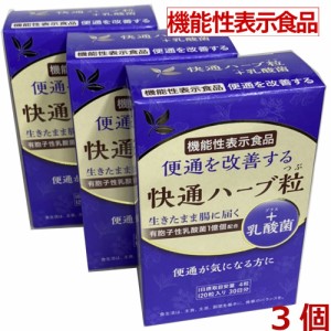 【3個セット】【機能性表示食品】快通ハーブ粒＋乳酸菌 120粒×3個【コンパクト発送】