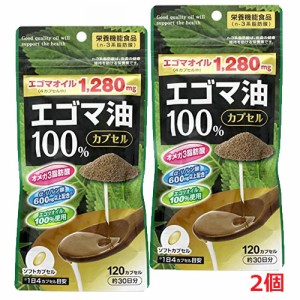 【2個セット】健美舎エゴマ油１００％カプセル１２０カプセル×2個