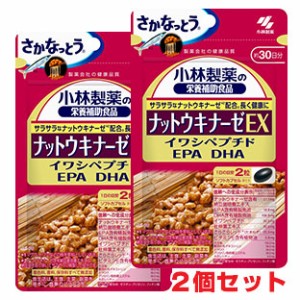 【2個セット】【メール便発送】小林製薬　栄養補助食品　ナットウキナーゼEX　60粒×2個