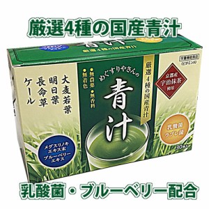 テイカ製薬　めぐすりやさんの青汁 3g×30包【厳選4種の国産青汁】＋メグスリノキエキス末・ブルーベリーエキス・京都宇治抹茶使用