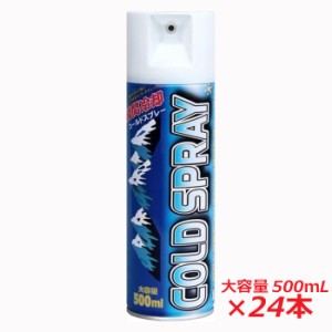 【1ケース】【早めの猛暑対策】瞬間冷却コールドスプレー 徳用500mL×24本