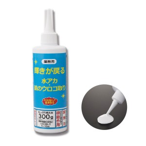 業務用 輝きが戻る 水アカ・鏡のウロコ取り 300g ガラス掃除用具 掃除用品 マルチクリーナー 洗剤 水アカ 水垢 うろこ クリーナー ウロコ