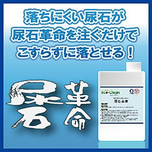 尿石除去剤 尿石革命 1L トイレ洗剤 洗剤 トイレ用品 トイレ 便器 尿石除去剤 尿石落とし 尿石除去 タイル 尿石 除去 掃除 クリーナー 便