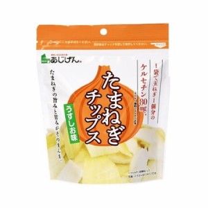 たまねぎチップス うすしお味 40g×10個セット 味源 たまねぎチップス 玉ねぎチップス おやつ お菓子 スナック菓子 おつまみ 玉ねぎ たま