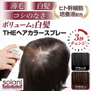 THEヘアカラースプレー 150g ヘアカラー カラーリング ヘアケア スタイリング 白髪染め 薄毛 白髪 増毛 スプレー コシ ボリュームアップ 