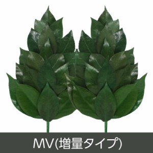 メール便・送料無料 プリザーブド 榊 さかき MVサイズ 増量タイプ 神棚 榊 さかき 枯れない 枯れない榊 プリザーブドフラワー ブリザード