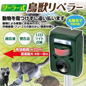 鳥獣 対策の通販｜au PAY マーケット