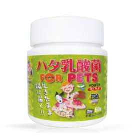 ハタ乳酸菌 FOR PET（60g入り・約2ヶ月分 計量スプーン付） サプリメント 犬用品 猫用品 犬 猫 乳酸菌 凍結乾燥 菌 生きたまま 乳酸菌配